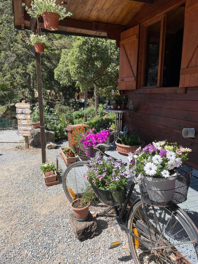 Agricamping Le Terrazze Hotel Orco Feglino Bagian luar foto