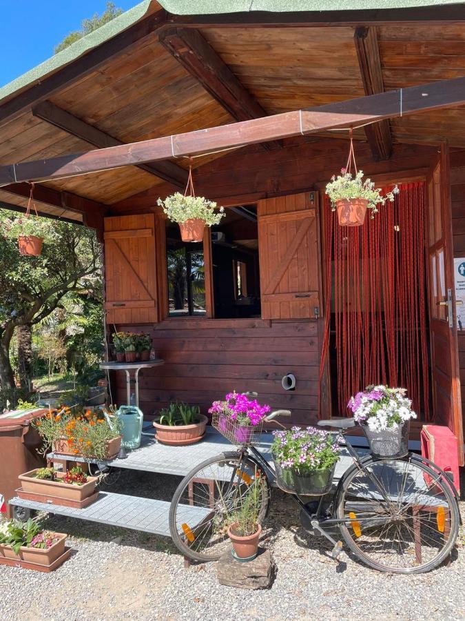 Agricamping Le Terrazze Hotel Orco Feglino Bagian luar foto