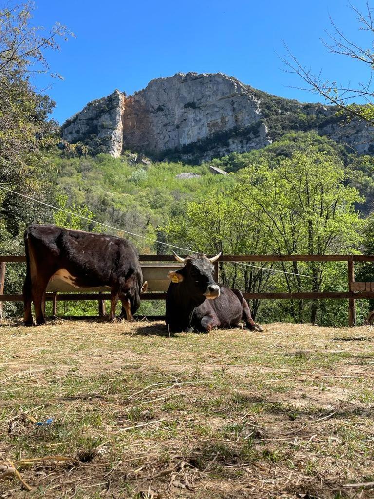 Agricamping Le Terrazze Hotel Orco Feglino Bagian luar foto
